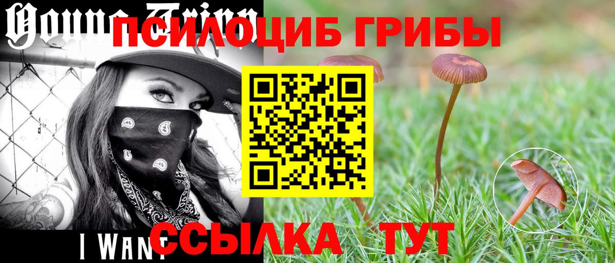 Галлюциногенные грибы мухоморы  Псилоцибиновые грибы MAGIC MUSHROOMS  Барнаул  Вход с VPN 